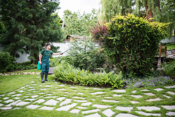 Best Pest Inspection Near Me  in Brunswick, NC