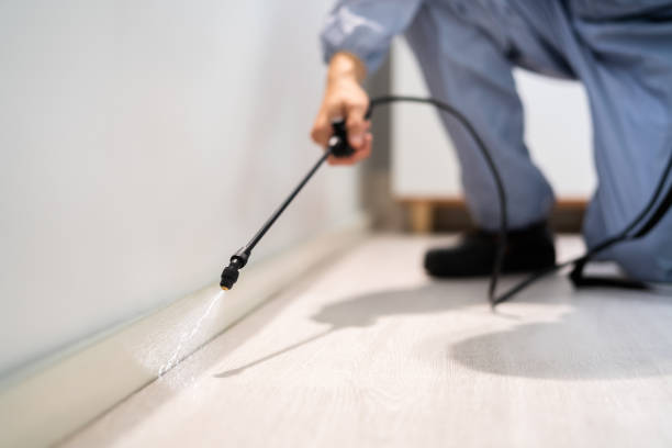 Pest Prevention Services in Brunswick, NC