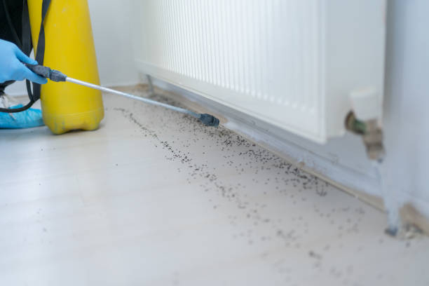 Best Affordable Pest Control Services  in Brunswick, NC