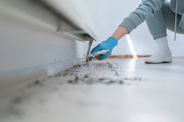 Best Exterminator Services  in Brunswick, NC