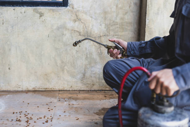 Best Exterminator Services  in Brunswick, NC